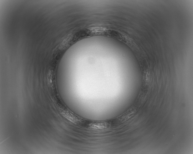 X0000054390567200508191942