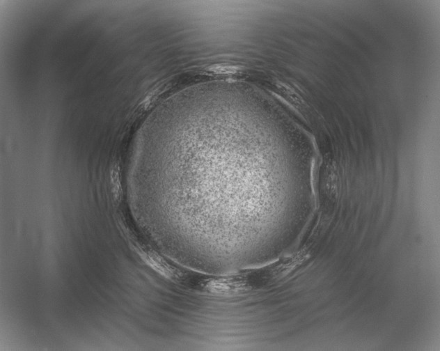 X0000054390568200508191942