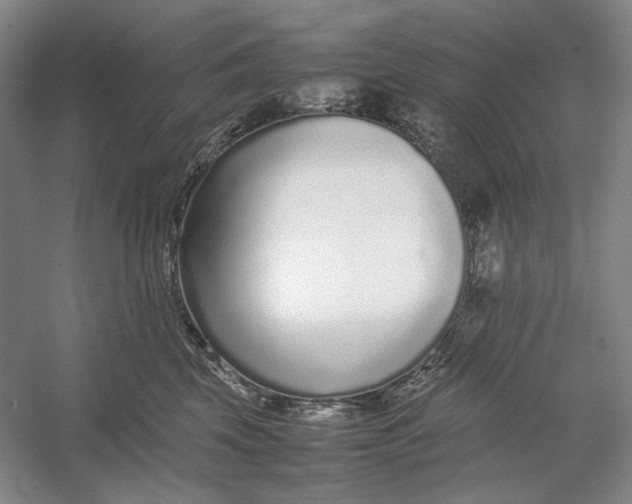 X0000054390569200508191942