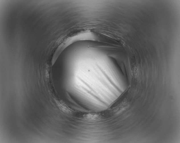 X0000054390570200508191942