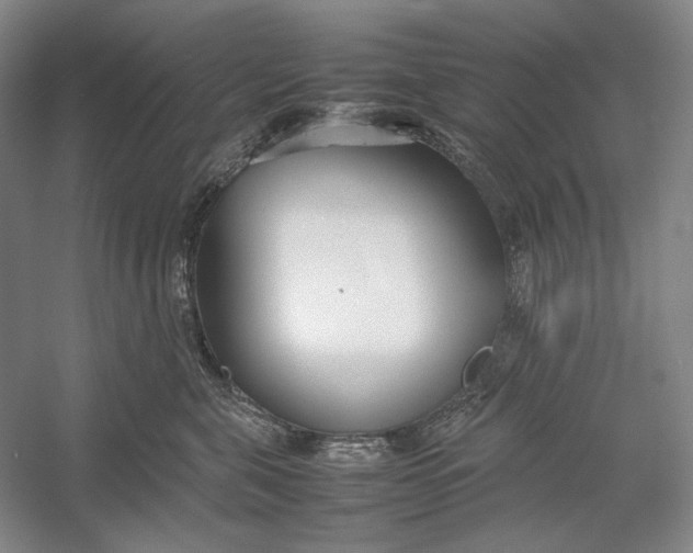 X0000054390571200508191942
