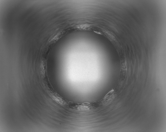 X0000054390572200508191942
