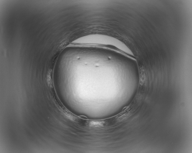 X0000054390573200508191942