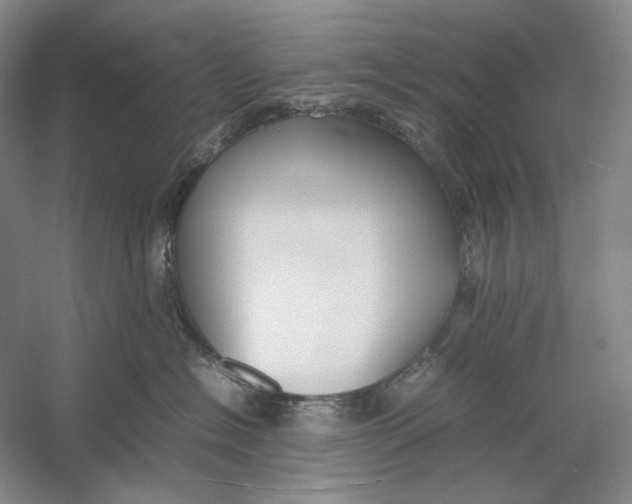 X0000054390574200508191942