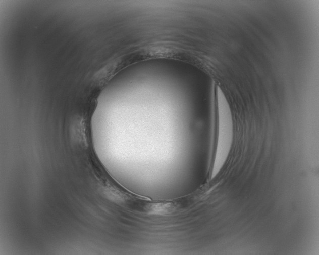 X0000054390575200508191942