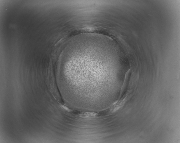 X0000054390576200508191942
