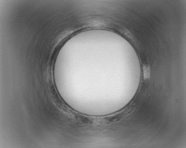 X0000054390579200508191941