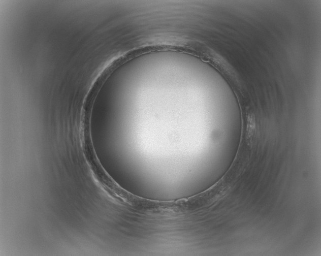 X0000054390580200508191941