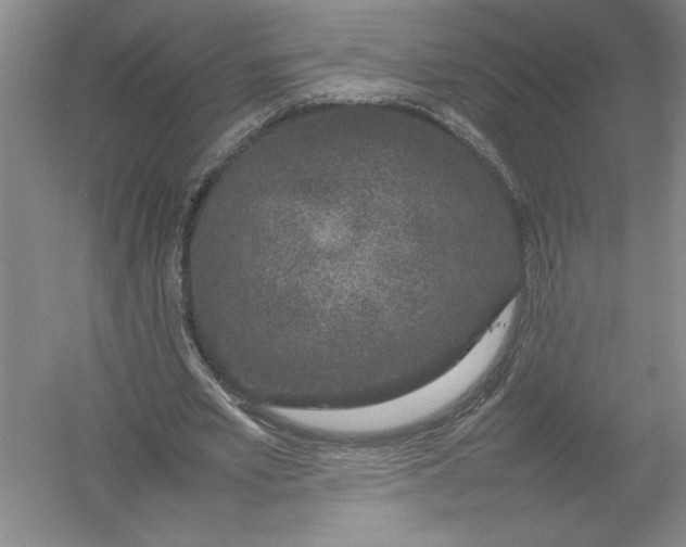 X0000054390581200508191941