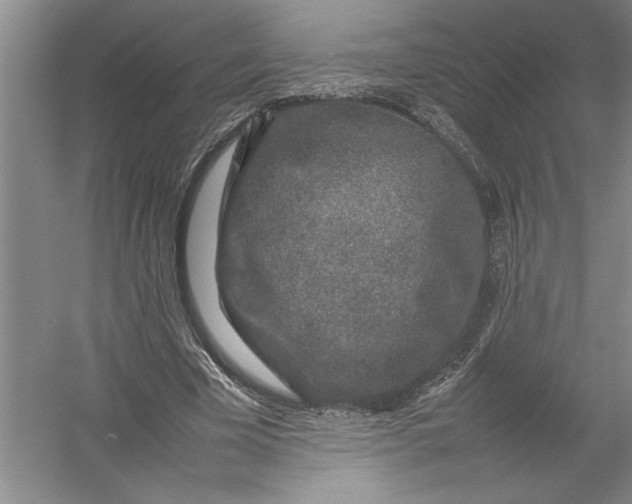 X0000054390585200508191941