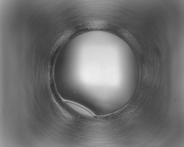 X0000054390586200508191941