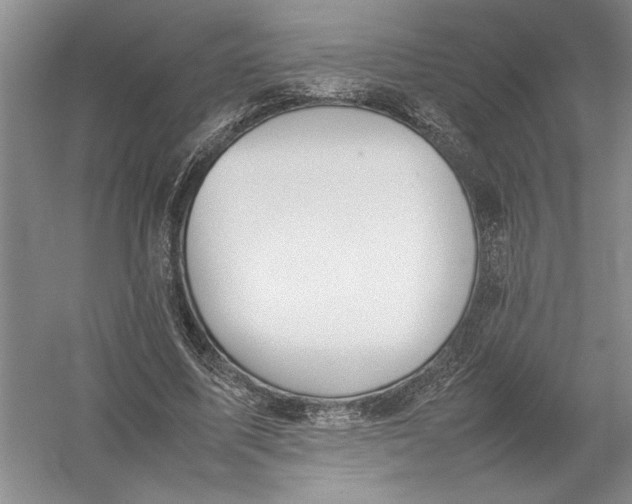 X0000054390587200508191941