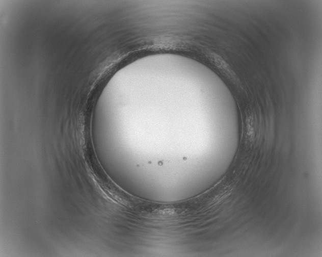X0000054390588200508191941