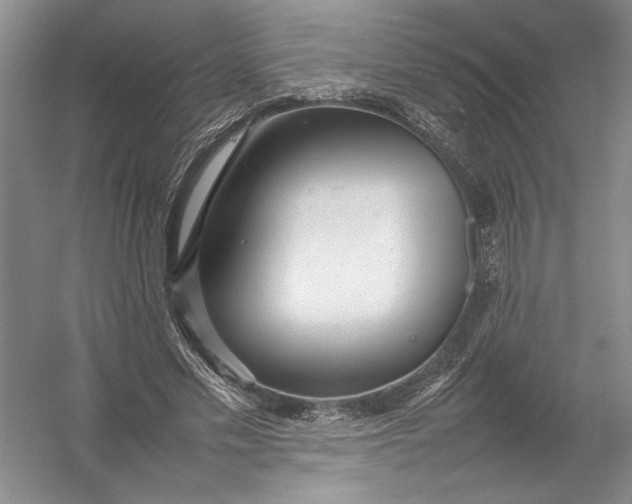 X0000054390589200508191941