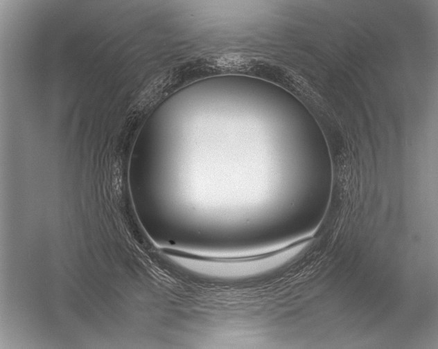 X0000054390593200508191941