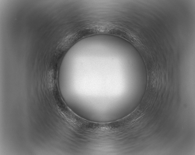 X0000054390594200508191941