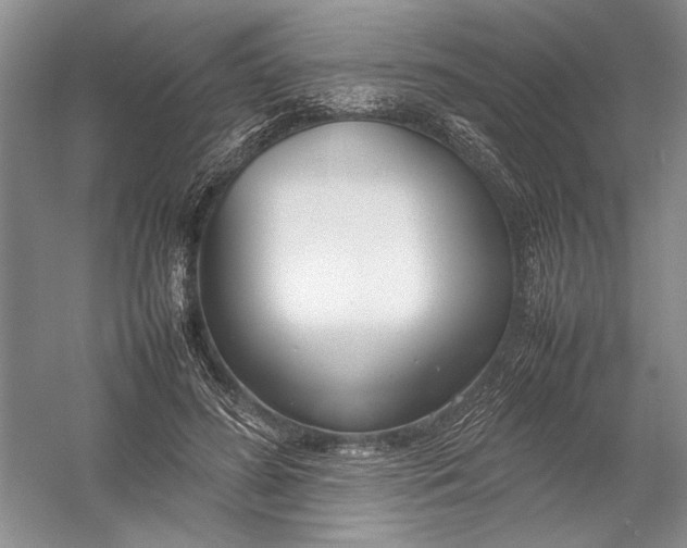 X0000054390596200508191941