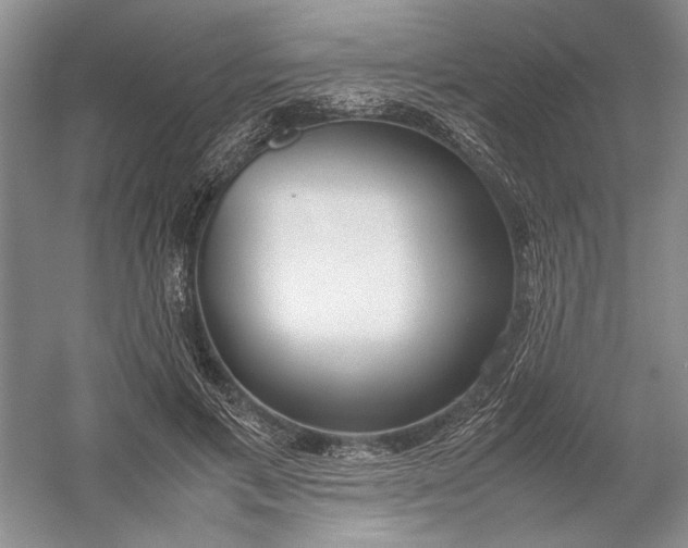 X0000054390597200508191941