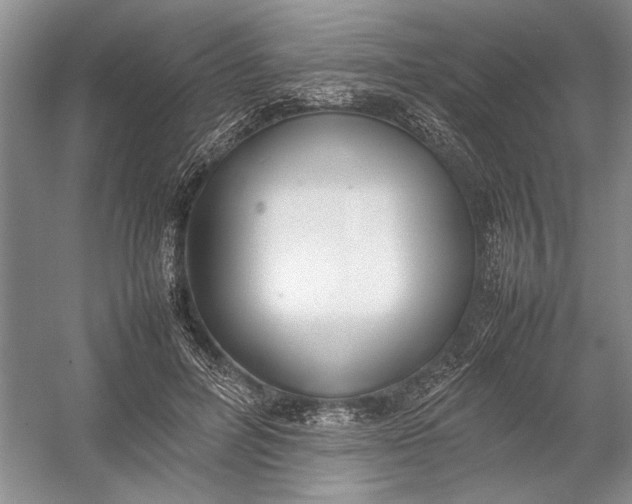 X0000054390600200508191941