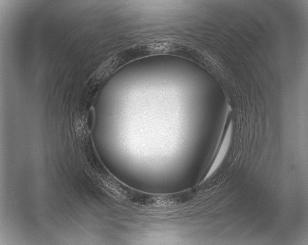 X0000054390601200508191941