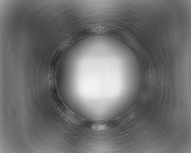 X0000054390602200508191941