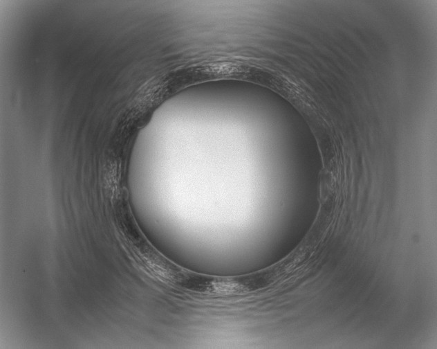 X0000054390605200508191941