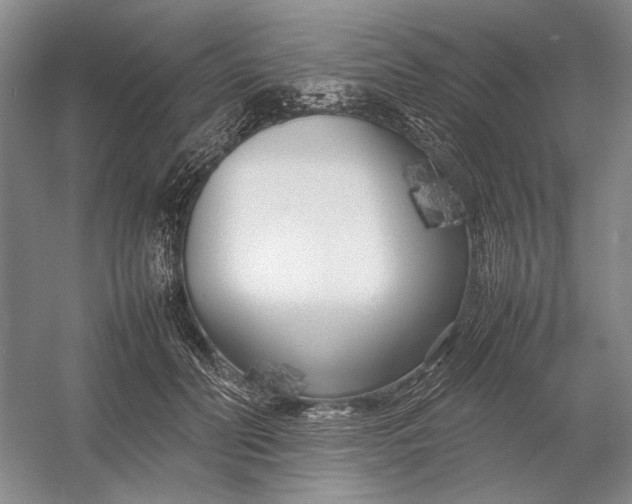 X0000054390606200508191941