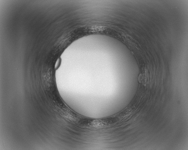 X0000054390608200508191941