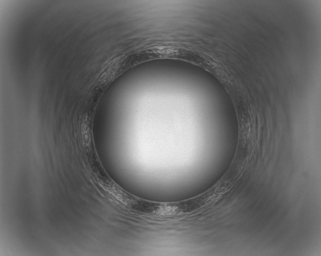 X0000054390609200508191941