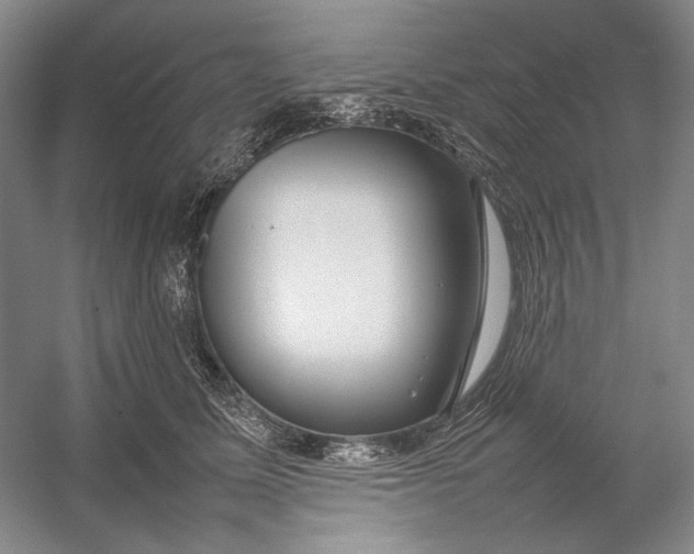 X0000054390611200508191940