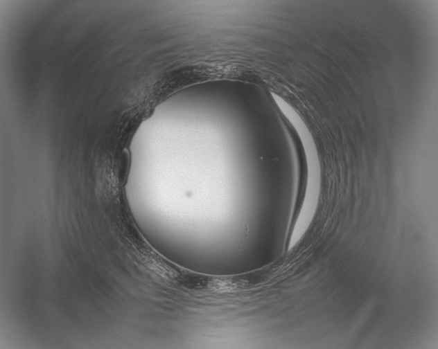 X0000054390613200508191940