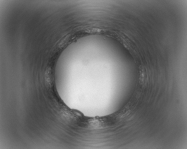 X0000054390616200508191940