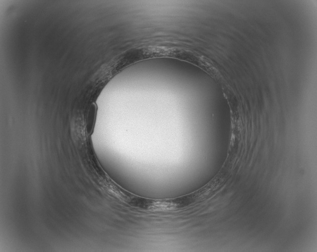 X0000054390617200508191940