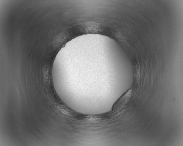 X0000054390619200508191940