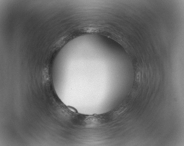 X0000054390620200508191940
