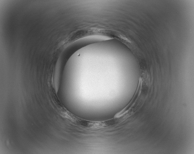 X0000054390621200508191940