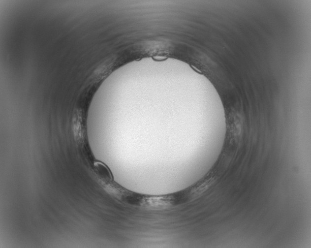 X0000054390622200508191940