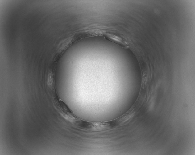 X0000054390623200508191940