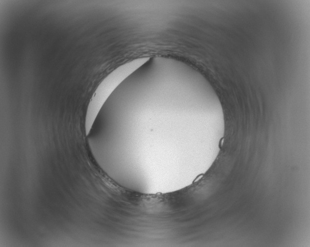 X0000054390624200508191940