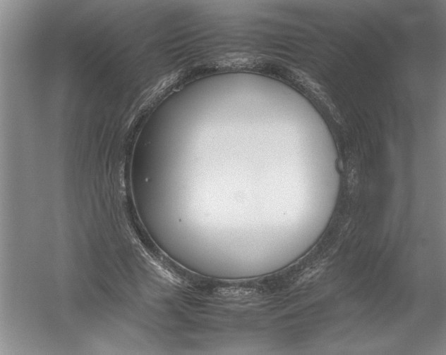 X0000054390633200508191940