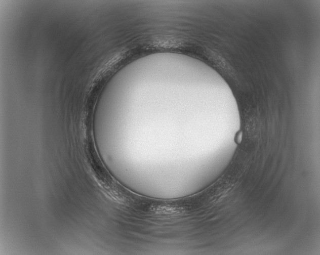 X0000054390635200508191940