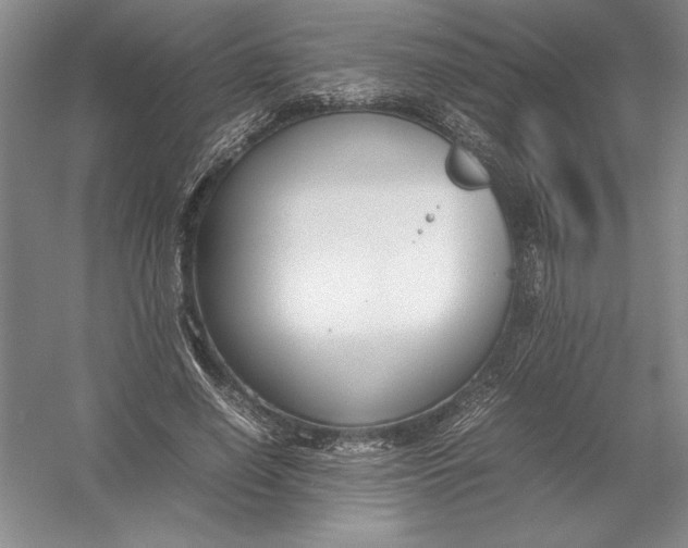 X0000054390638200508191940