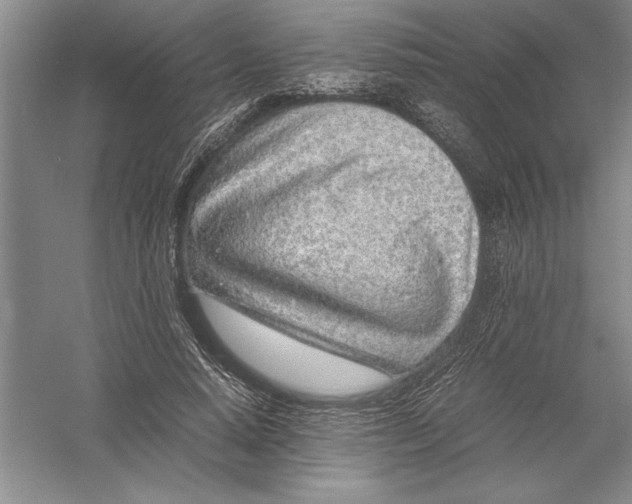 X0000054390640200508191940