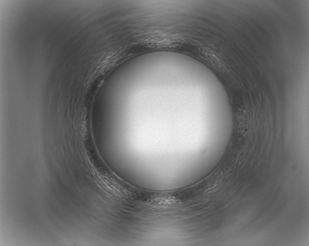 X0000054390642200508191940