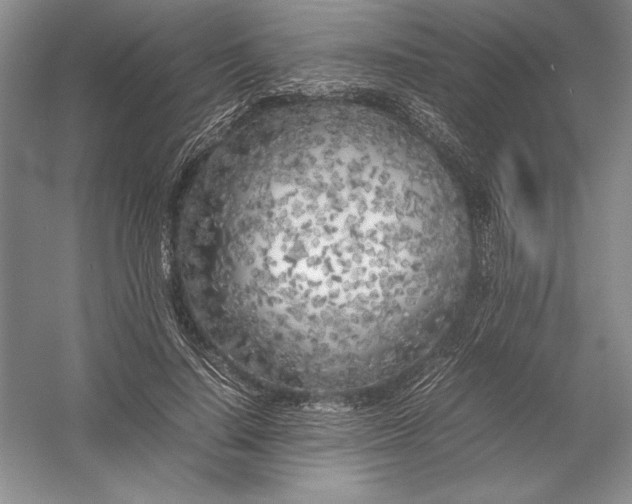 X0000054390644200508191940