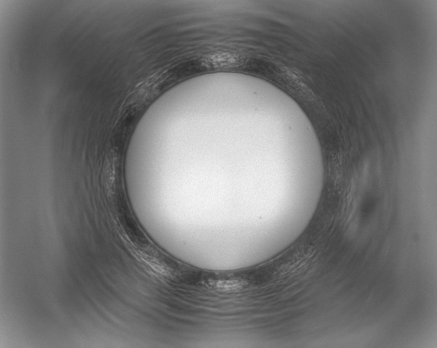 X0000054390645200508191940