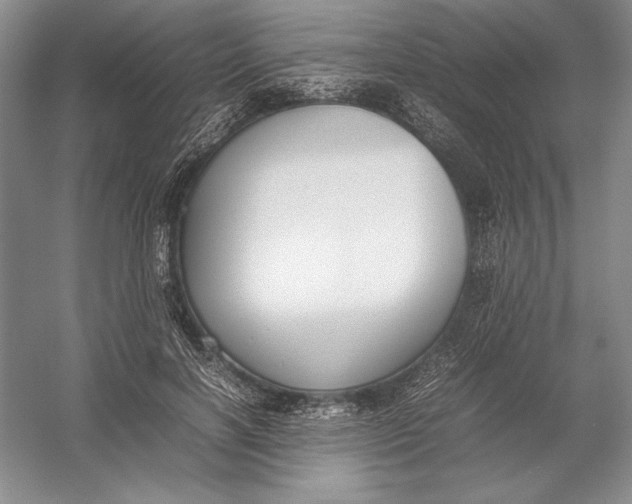 X0000054390646200508191940
