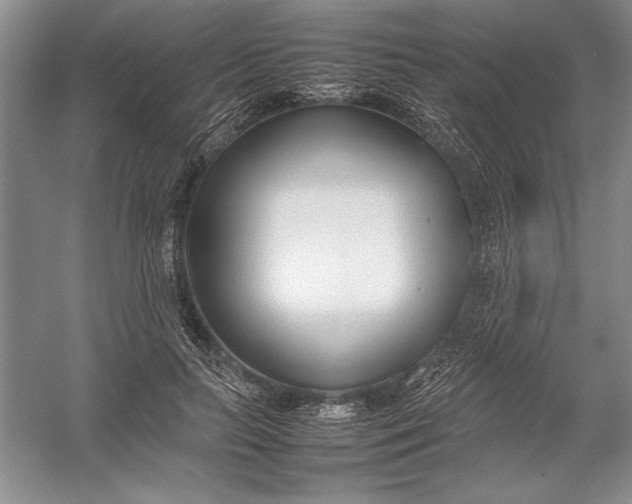 X0000054390647200508191940