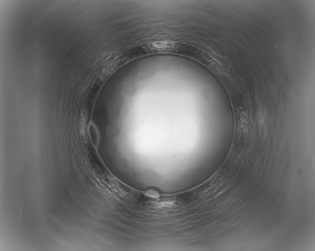 X0000054390651200508191940