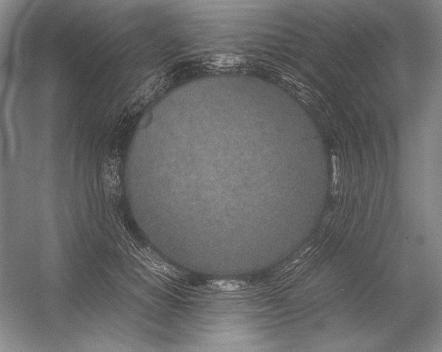 X0000054390654200508191940